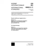 IEC 60695-2-11:2000